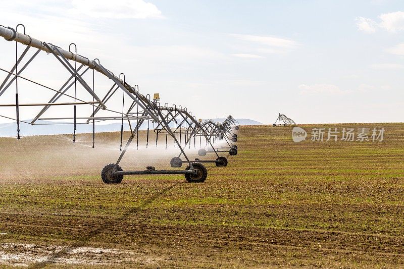 灌溉系统在Palouse, WA
